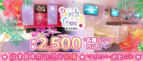 Peach Tree 2 熊本松橋店（ピーチツリーツー）【公式求人・体入情報】 下通りキャバクラ 即日体入募集バナー