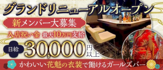 【綱島】girl's bar nine (ナイン)【公式体入・求人情報】(新横浜ガールズバー)の求人・体験入店情報