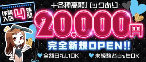 ダンデライオン【公式求人・体入情報】(六本木ガールズバー)の求人・体験入店情報
