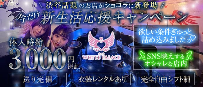 BAR WHITE PALACE（ホワイトパレス）のガールズバー体入