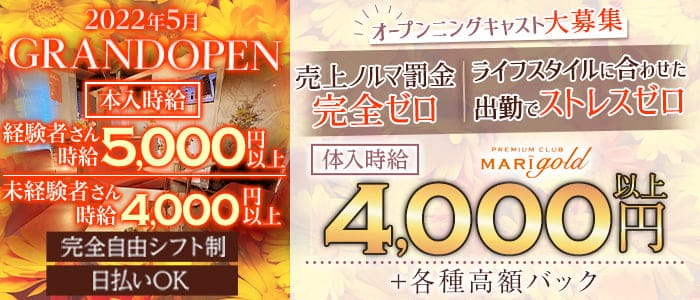 Mari Gold マリーゴールド 公式求人 体入情報 八王子 キャバクラ 公式求人 キャバクラ求人なら 体入ショコラ