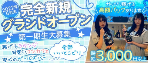 【関内】ブルーライトヨコハマ【公式求人・体入情報】(関内ガールズバー)の求人・体験入店情報