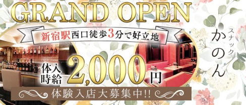 かのん【公式求人・体入情報】(新宿スナック)の求人・体験入店情報