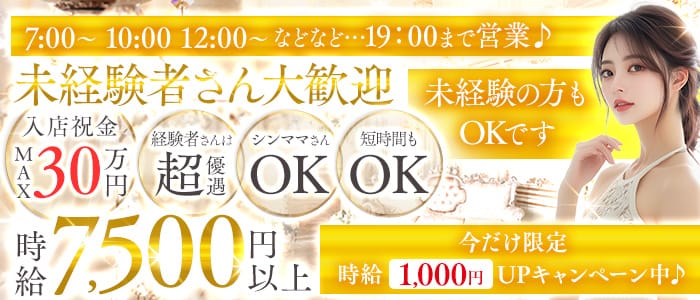 【朝昼夕】Elysion（エリュシオン）(歌舞伎町昼キャバ・朝キャバ)の求人・体験入店情報