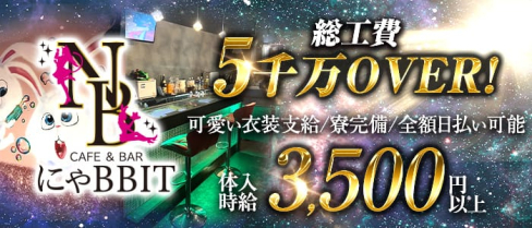 にゃBBIT(ニャビット)【公式求人・体入情報】(歌舞伎町ガールズバー)の求人・体験入店情報