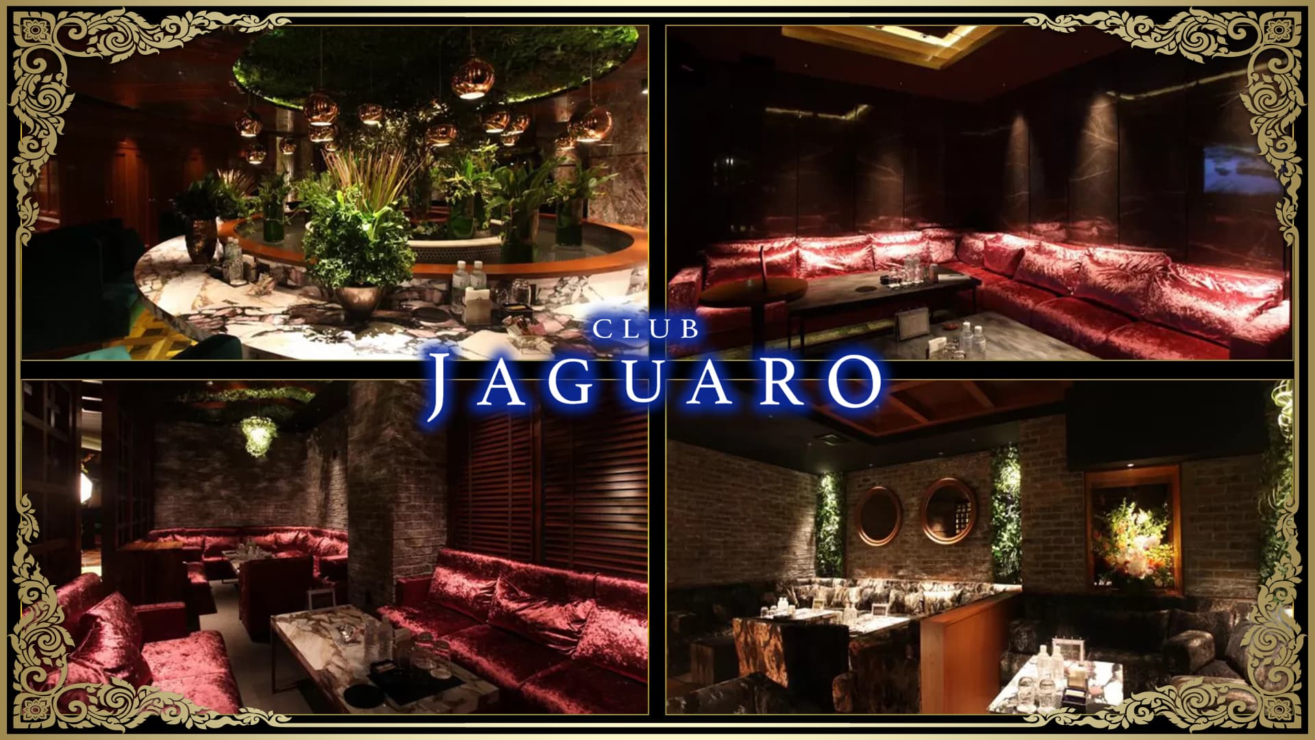 CLUB JAGUARO(ジャガーロ)【公式求人・体入情報】 すすきのニュークラブ TOP画像