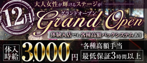 姉キャバALRAI(エルライ)【公式求人・体入情報】(錦姉キャバ・半熟キャバ)の求人・体験入店情報