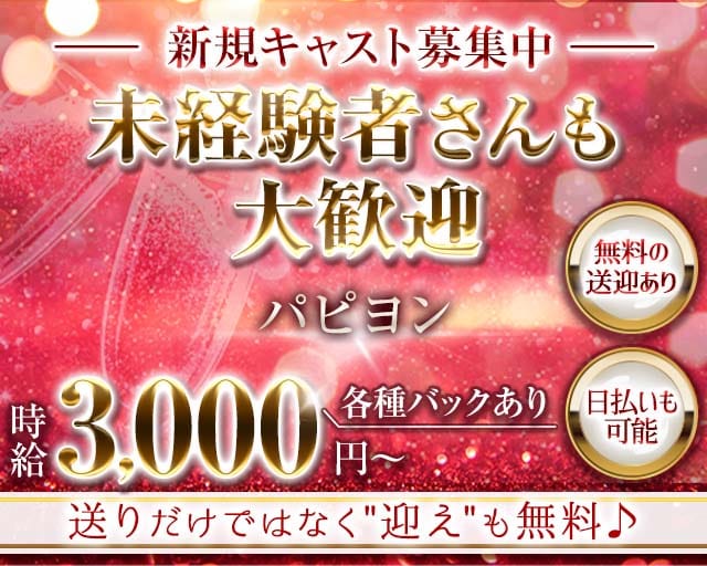 パピヨンのガールズバー体入