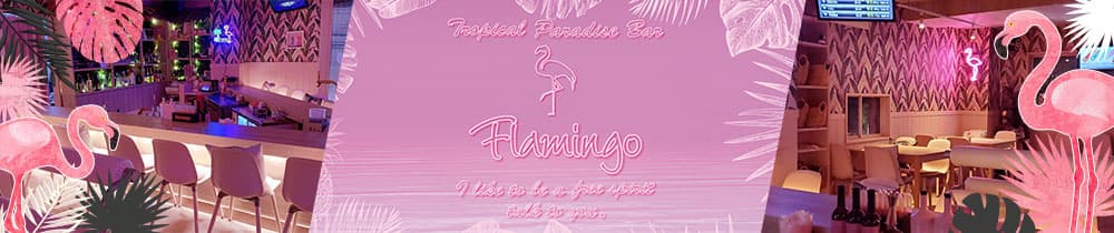 Tropical Paradise Bar Flamingo（フラミンゴ）【公式求人・体入情報】 天文館ガールズバー TOP画像
