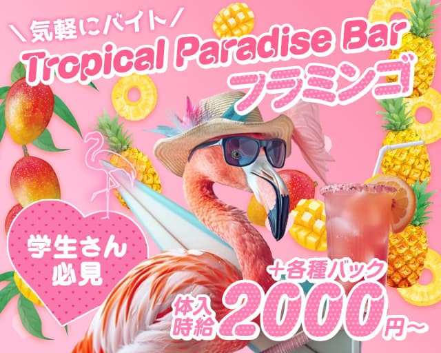 Tropical Paradise Bar Flamingo（フラミンゴ）のガールズバー体入