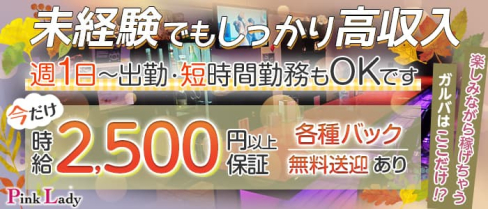 【三原】Pink Lady -ピンクレディ-【公式求人・体入情報】(福山ガールズバー)の求人・体験入店情報