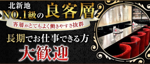 NARUMI(ナルミ)【公式求人・体入情報】(北新地ラウンジ)の求人・体験入店情報