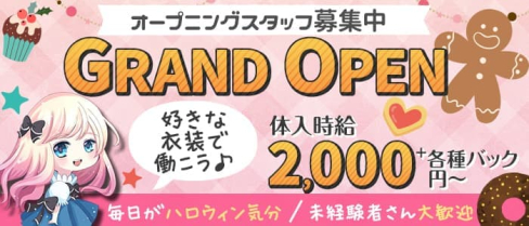 Dame of the night(デイムオブザナイト)【公式求人・体入情報】(国分町ガールズバー)の求人・体験入店情報