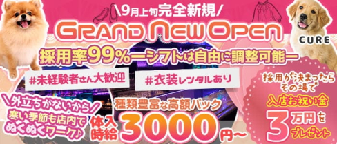 【下赤塚駅】”New”ガールズバー キュア【公式求人・体入情報】(池袋ガールズバー)の求人・体験入店情報