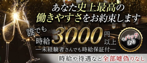 NEW Sylphied(ニューシルフィード)【公式求人・体入情報】(流川ラウンジ)の求人・体験入店情報