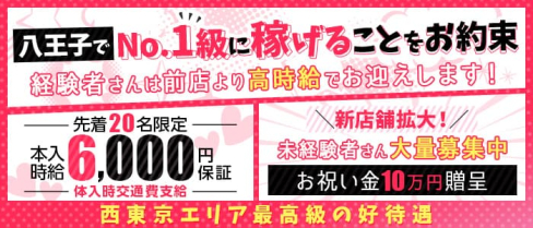 シャングリラ【公式求人・体入情報】(八王子キャバクラ)の求人・体験入店情報