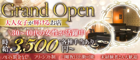美熟女A(エース)神田駅西口駅前店【公式求人・体入情報】(神田キャバクラ)の求人・体験入店情報