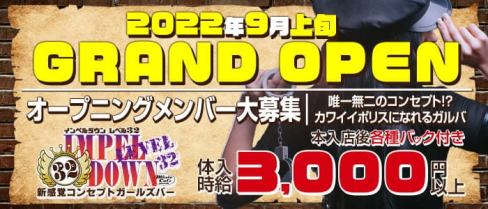 コンセプトガールズバー IMPELDOWN(インペルダウン)【公式求人・体入情報】(錦ガールズバー)の求人・体験入店情報