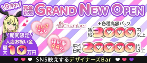 Chamber(シャンベル)【公式求人・体入情報】(高田馬場ガールズバー)の求人・体験入店情報
