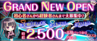 Girls bar effect(エフェクト)【公式求人・体入情報】(取手ガールズバー)の求人・体験入店情報