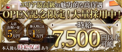 HERMI(エルミ)【公式出稼ぎ求人情報】(川崎キャバクラ)の求人・バイト・体験入店情報