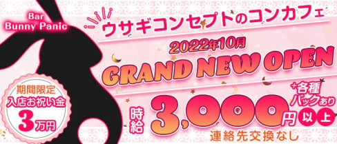 Bar Bunny Panic(バニーパニック)【公式求人・体入情報】(天王寺ガールズバー)の求人・体験入店情報