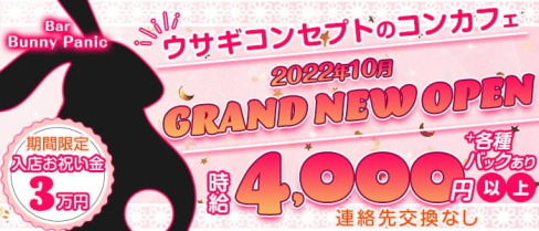 Bar Bunny Panic(バニーパニック)【公式求人・体入情報】(天王寺ガールズバー)の求人・体験入店情報