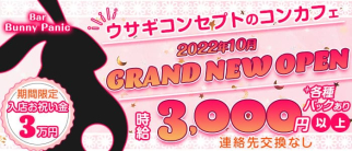 Bar Bunny Panic(バニーパニック)【公式求人・体入情報】(天王寺ガールズバー)の求人・体験入店情報