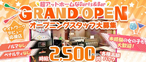 Darts&bar RIZE(ライズ)【公式求人・体入情報】(八王子ガールズバー)の求人・体験入店情報