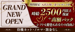 【南林間】ガールズバーDOLCE〜ドルチェ〜【公式求人・体入情報】(大和ガールズバー)の求人・体験入店情報
