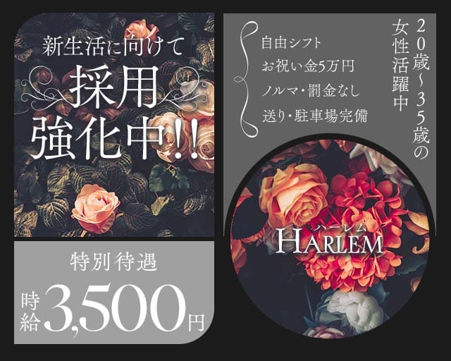 HARLEM（ハーレム）のスナック体入