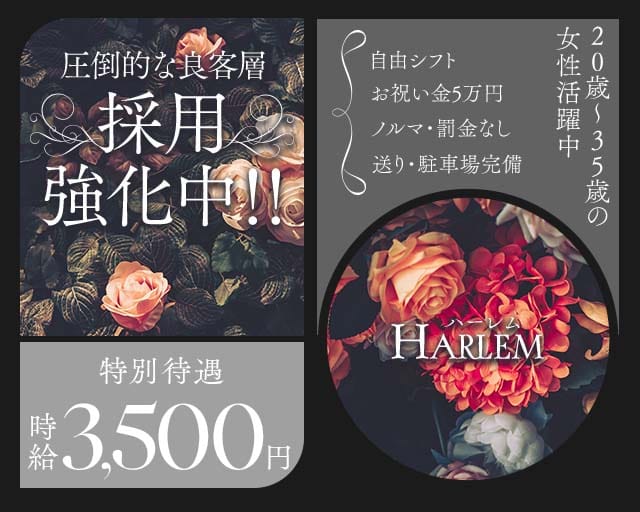 HARLEM（ハーレム）(三島スナック)の求人・体験入店情報