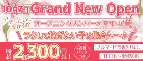 Lys Blanc(リスブラン)【公式求人・体入情報】(梅田ガールズバー)の求人・体験入店情報