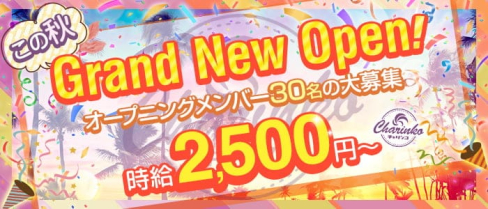 チャリンコ 十三【公式求人・体入情報】(十三ガールズバー)の求人・体験入店情報