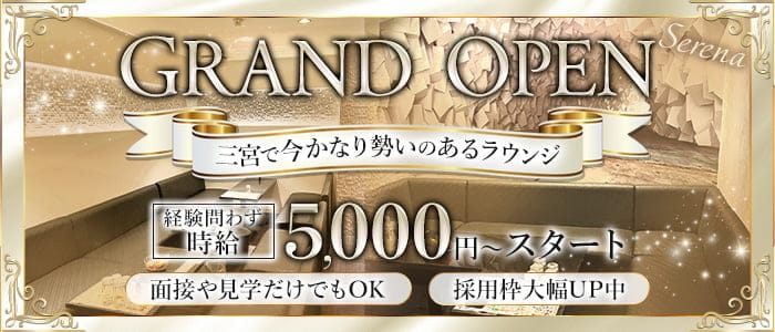 Serena（セレナ）のラウンジ体入
