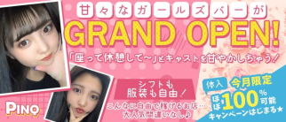 PINQ(ピンク)【公式求人・体入情報】(溝の口ガールズバー)の求人・体験入店情報