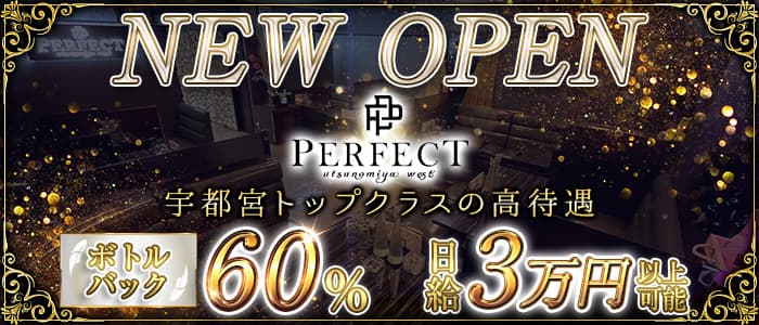 パーフェクトのキャバクラ体入