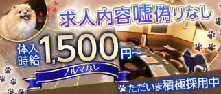 ラウンジ貴蘭(キラン)【公式求人・体入情報】(大垣ラウンジ)の求人・体験入店情報