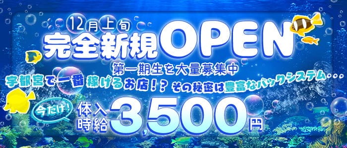 コンセプトカフェMarin（まりん）のガールズバー体入