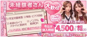 【浜松】Lady merry （レディメリー）【公式求人・体入情報】 浜松ガールズバー 未経験募集バナー