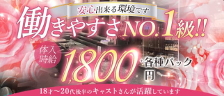 ベル・クレール【公式求人・体入情報】(天神スナック)の求人・体験入店情報
