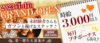 ダリア【公式求人・体入情報】(三宮スナック)の求人・体験入店情報