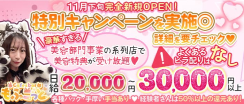 Cafe&bar もふこっと【公式出稼ぎ求人情報】(歌舞伎町ガールズバー)の求人・バイト・体験入店情報