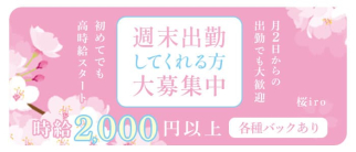 桜iro(さくらいろ)【公式求人・体入情報】(都町スナック)の求人・体験入店情報