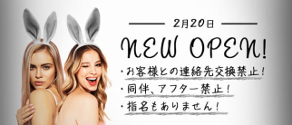クイーンオブハート【公式求人・体入情報】(福島ガールズバー)の求人・体験入店情報