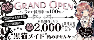 ねこ×のあーる【公式体入・求人情報】(新所沢ガールズバー)の求人・体験入店情報
