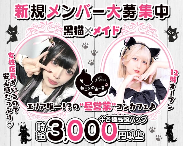 ねこのあーるのラウンジ体入