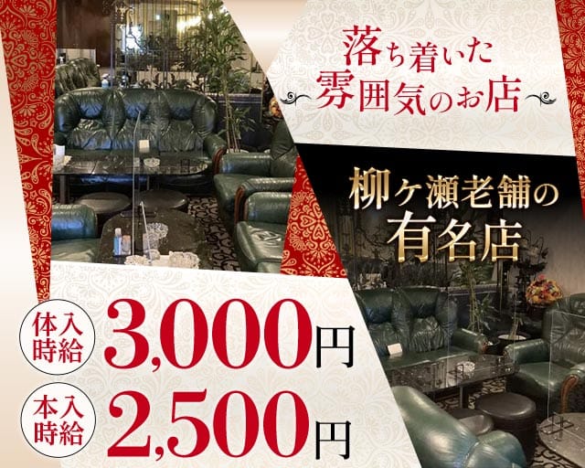 サルビアのラウンジ体入