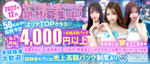 mule(ミュール)【公式出稼ぎ求人情報】(池袋ガールズバー)の求人・バイト・体験入店情報