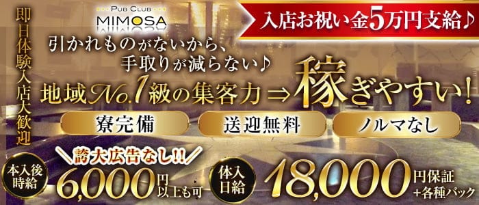 【帯広】MIMOSA～ミモザ～ 帯広パブクラブ 即日体入募集バナー